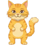 Katze, ausgewachsen